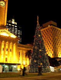 Summer Bondi Beach Christmas Bush Sydney