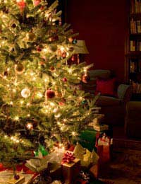 Christmas Tree Christmas Tradition