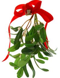 Mistletoe Kissing Kiss Holly Norse