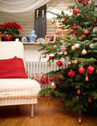 Christmas Decorations And Themes For The Home